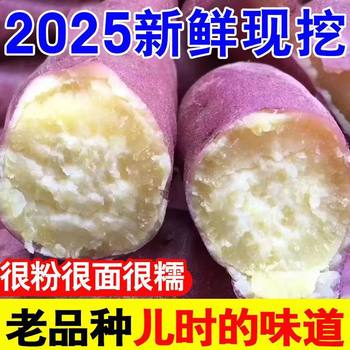 Sweet Potato Chestnut Sweet Potato Wholesale Pink Sweet Potato Fresh Farm Sweet Potato White Heart Glutinous Red Skin South Sea Sweet Potato Frozen