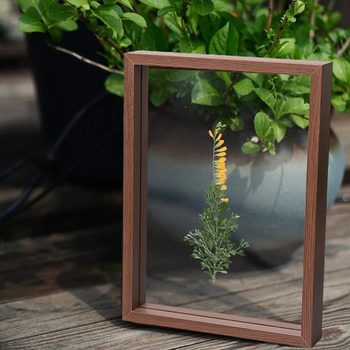 Creative Handmade Photo Frame Double-Sided Glass Frame Wooden Dried Flower Double-Layer Specimen Photo Wooden Frame Transparent Picture Frame