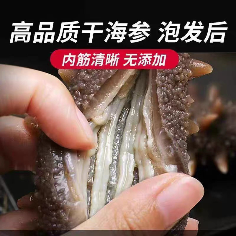 Dalian Pure Wild Sea Cucumber Dry Goods Light Dried Sea Cucumber Liaodong Sea Cucumber Long Island Sea Cucumber Deep Sea Liaodong Sea Cucumber Gift Box Sf Express