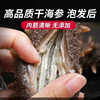 Dalian Pure Wild Sea Cucumber Dry Goods Light Dried Sea Cucumber Liaodong Sea Cucumber Long Island Sea Cucumber Deep Sea Liaodong Sea Cucumber Gift Box Sf Express