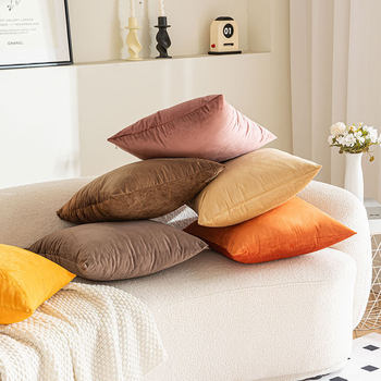 Velvet Pillow Cushion Living Room Sofa Pillow Waist Pillow Simple Modern Square Solid Color Plush Pillow Case Wholesale