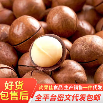 Macadamia Nuts with Thin Skin and Creamy Flavor, Large Nuts 500g, Summer Nuts, Walnut Nuts, New Year Snacks, Macadamia Nuts