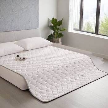 Four-Season Protective Mattress Anti-Mite Tatami Cushion Home Student Dormitory Single Double Bed Mattress Quilt