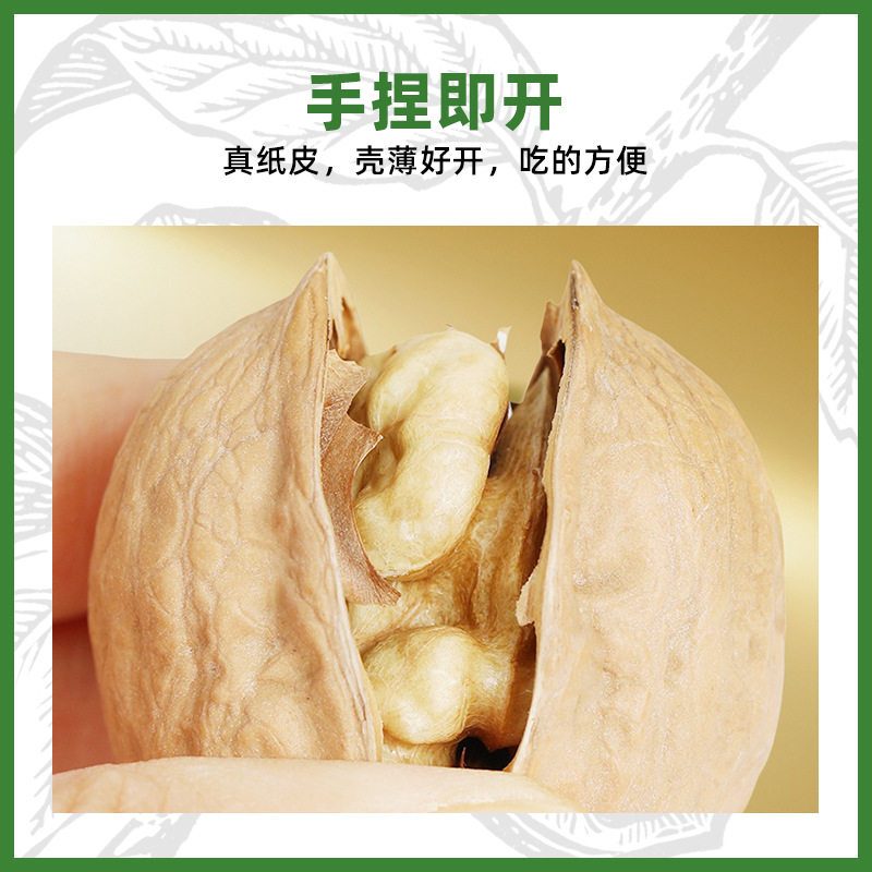 New Xinjiang Paper-Skinned Walnut Snacks, Dried Goods, Original Thin-Skinned Walnuts, Wholesale Large Fruits, Xinjiang Aksu Raw Walnuts