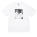 73 white