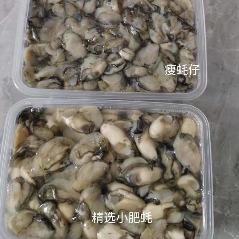 Freshly Caught and Peeled Oysters from Fujian, No Soaking, Small Sea Oyster Meat, Fresh Oyster Pancakes