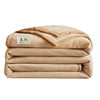 Coral Fleece Blanket Bed Sheet Single Piece Fleece Blanket Winter Thickened Fleece Flannel Sofa Blanket Office Nap Blanket