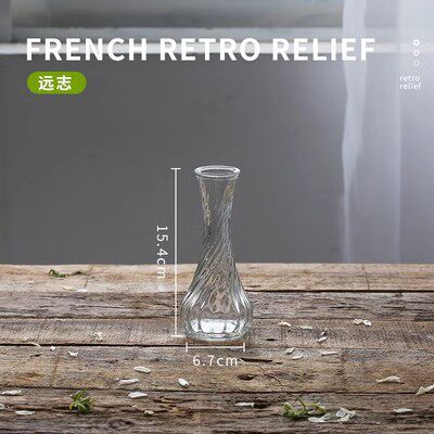 跨境热销复古玻璃花瓶插画高级感香薰瓶 透明ins风摆件小花瓶套装