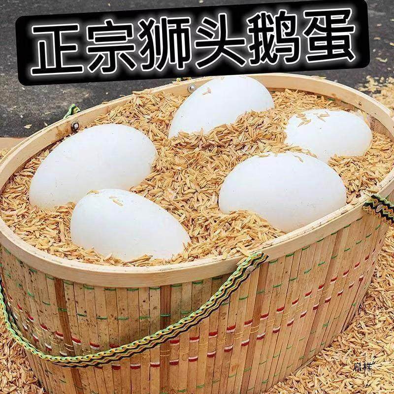 6-Pack of Lion-Headed Goose Fresh Farm-Raised Free-Range Large Goose Eggs to Remove Fetal Toxins, Large Size 80-120g