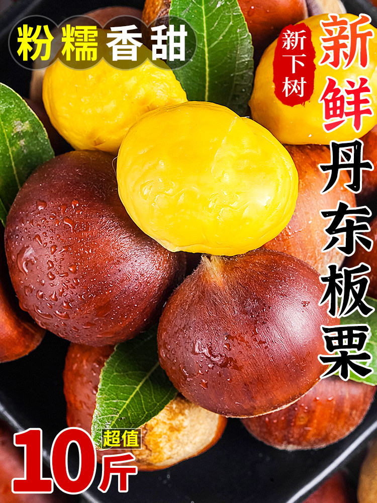 Fresh Dandong Raw Chestnuts 5kg Seasonal Large Chestnuts Raw Chestnuts Northeastern Cone Chestnuts Wild Chestnuts Large Fruit Hairy Chestnuts