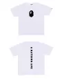 24 white