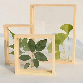 Nordic green plant double-sided glass photo frame decoration creative transparent plant specimen frame transparent wooden picture frame decoration