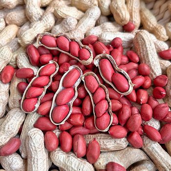 Shelled Red-Skinned Peanuts 2025 New Arrivals Farm Fresh Four Red Peanuts Naturally Sun-Dried Seeds New Arrivals