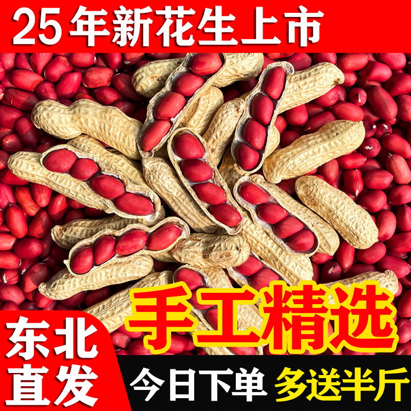 Northeast Red-Skinned Peanuts, 25 Years Old, Farm-Fresh, Shelled, Raw and Cooked, Four Red Peanuts, Self-Grown, Sun-Dried, Roasted, Original Flavor