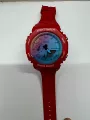 Colorful red shell