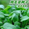 seller product image