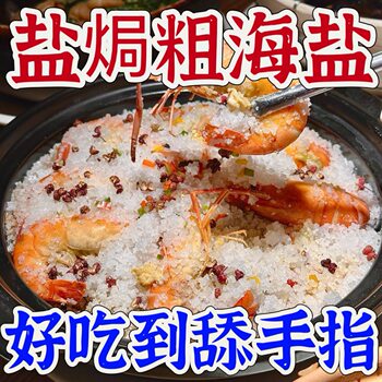 Large Granular Sea Salt Salt-Baked Seasoning Large Granular Sea Salt 100g and 500g Packaging Supports Drop Shipping and Wholesale