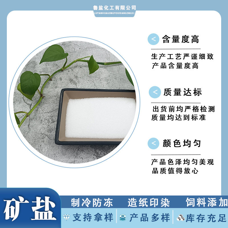 Customized Fine Salt/Feeding Salt/Fine Salt 99% Sodium Chloride Snow Melting Agent Boiler Feed Additive Industrial Grade