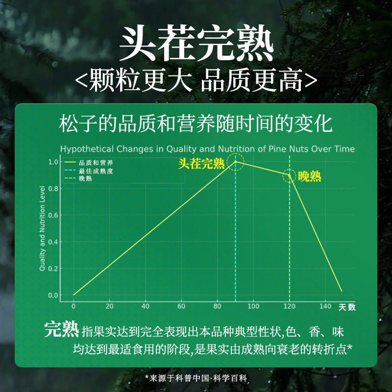 Large Capsules Brazilian Pine Nuts Hand-Peeled Pine Nuts 2025 New Afghan Long Pine Nuts Net Weight 125g Canned