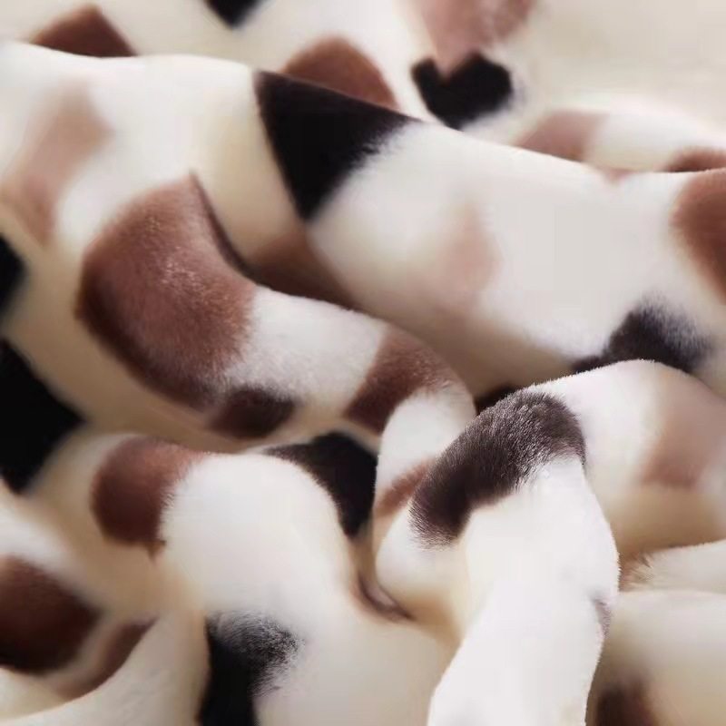 Winter Raschel Blanket Double Thickened Flannel Blanket Group Buying Gift Box Blanket Cloud Blanket Wholesale