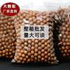 Hawaiian Macadamia Nuts Original Milk Flavor Whole Box Packed Macadamia Nuts Bulk Snacks Dried Fruits New Year Goods Manufacturer Wholesale
