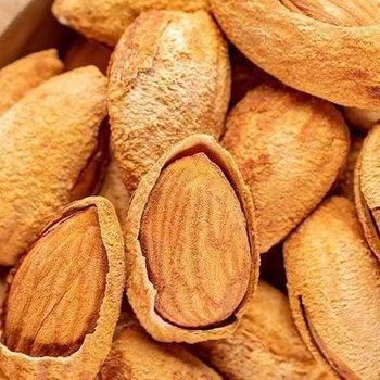 Milky Thin-Skinned Almond Nut Snacks 500g Open Hand-Peeled Nuts Thin Shell New Year's Almond Almond