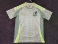 2425mexico away game