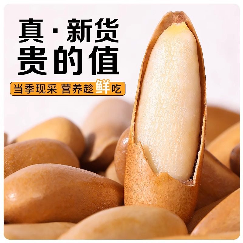 Chunjiangyue Brazilian Pine Nuts New Arrival Roasted Seeds Hand-Peeled Extra Large Capsules Specialty Nut Snacks Without Additives Wholesale