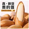 Chunjiangyue Brazilian Pine Nuts New Arrival Roasted Seeds Hand-Peeled Extra Large Capsules Specialty Nut Snacks Without Additives Wholesale