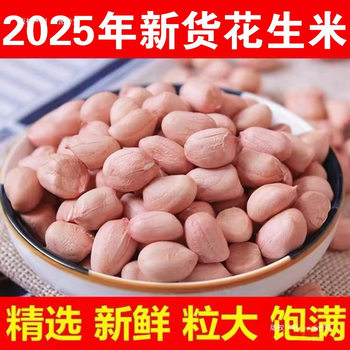 2025 Fresh Raw Peanuts, New Arrivals, Oil Extraction, Farm-Grown Pink-Skinned Large Peanuts