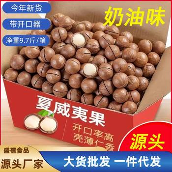 New Arrival Macadamia Nuts Wholesale Australian Macadamia Nuts White Large Particles Creamy Macadamia Nuts Boxed and Bagged Cross-Border