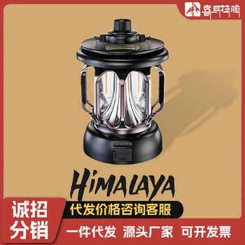 Himalayan camping lamp outdoor lamp horse lamp long life lighting atmosphere lamp tent lamp usb charging