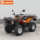 Diler Jinchi King Kong Bull ATV Вездеход внедорожный одноместный электрический горный мотоцикл для бездорожья DL40DAU-A mini 0