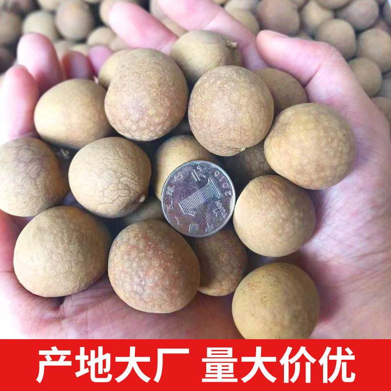 Bulk Dried Longan with Skin, 2025 New Crop, Naturally Sun-Dried, Premium Grade, Large Fruit, Guangmao Small Pit, Sulfur-Free Dried Longan