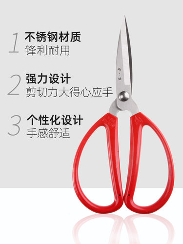 张小泉剪刀不锈钢家用剪子小剪刀手工剪纸剪线头厨房专用尖头正品 - 图0