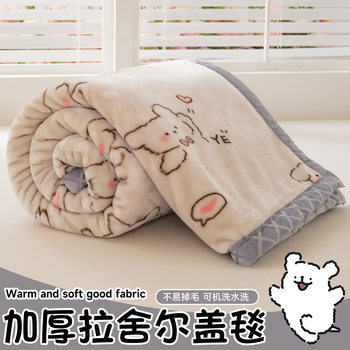 Double-Layer Thickeneded Raschel Blanket 2025 New Cartoon Winter Air-Conditioned Sofa Cover Blanket Office Nap