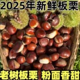 свежие каштаны Даньдун 2026 года, нежное пшено Даньдун, сезонные крупноплодные каштаны в кожуре, выращенные на ферме, свежесобранные