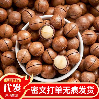 Macadamia Nuts New Arrival Creamy Dried Nuts Open Nuts Thin Skin Full Crispy Snacks Macadamia Nuts