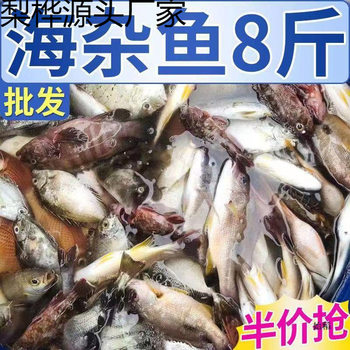 Sea Fish, Pomfret, Seafood Stew, Fresh Sea-Caught Small Yellow Croaker, Seawater Fish, Free Shipping, Wholesale, Dropshipping