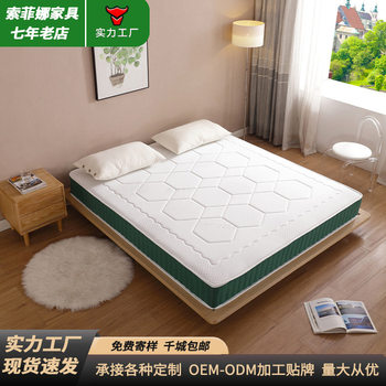 Ice Silk Winter and Summer Dual-Purpose Mattress, Soft and Hard, Can Be Used on Both Sides, Simmons 22cm Spring Mattress, Home Rental, Customizable