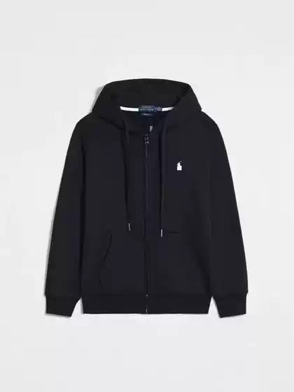 Spring and Autumn Fleece Thin Rl Hooded Cardigan Sweatshirt Embroidered Pony Loose Large Size Cross-Border Men's Polo Jacket