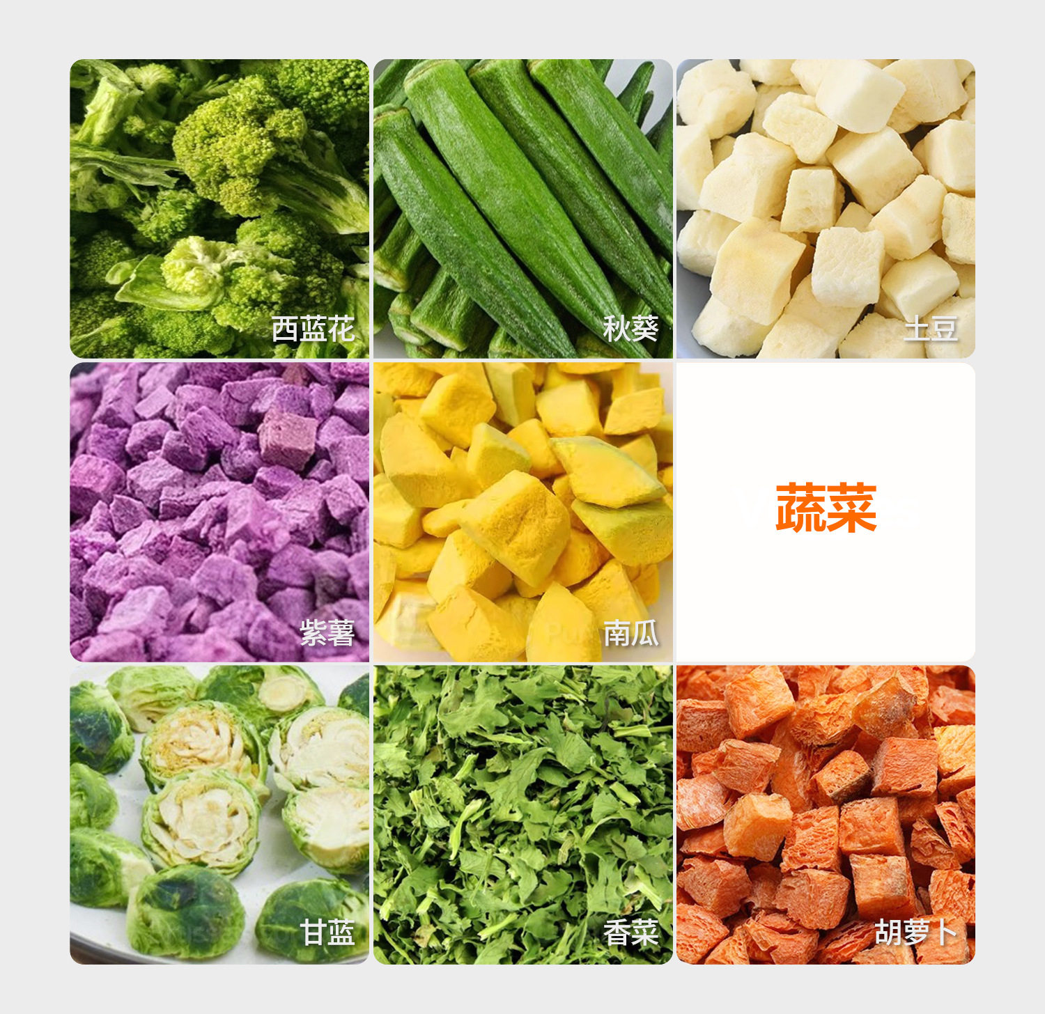 中文冻干机详情页_06