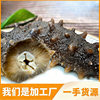Sea Cucumber Manufacturer Wholesale Dalian Sea Cucumber Liao Sea Cucumber Ready-To-Eat Sea Cucumber Strong Taste Fresh Ready-To-Eat Sea Cucumber