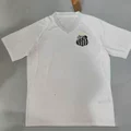 2526 Santos Home