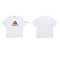 White 1301