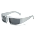 Regular (including 13% special ticket) silver frame gray film