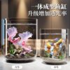 Desktop Fish Tank Household Small Ecological Tank Landscaping Aquatic Plants Goldfish Tank Aquarium Landscaping Pet Transparent Fish Tank