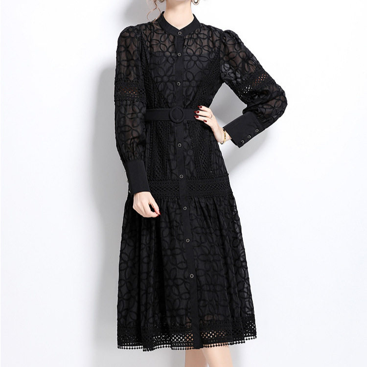 Vintage Embroidered Lantern Sleeve Dress Spring Collection Waist Cinching A Line Button Closure Elegant Occasion