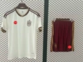 World cup fan kit - spain away (branded)