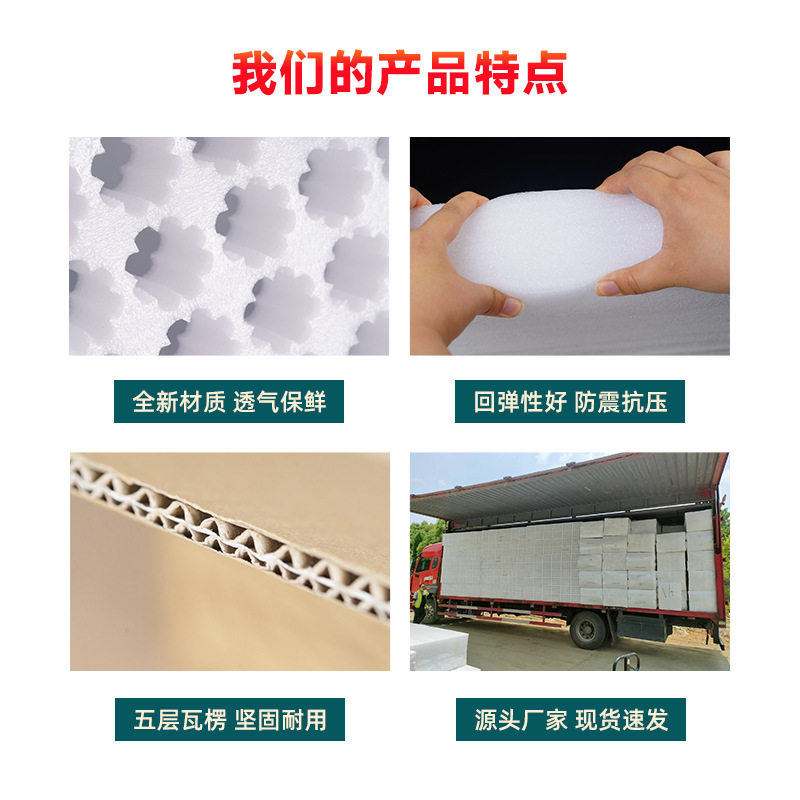 Pearl Cotton Egg Hanger Small Eggs Newborn Eggs Express Special Carton Shockproof Drop-proof Foam Cotton Native Egg Hanger